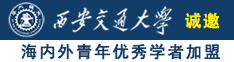 草17c诚邀海内外青年优秀学者加盟西安交通大学